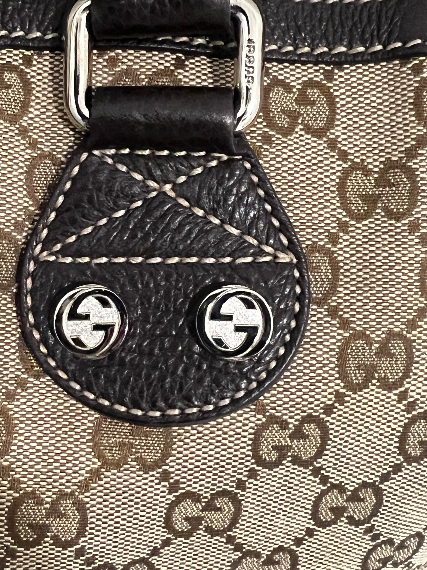 Gucci Monogram Bag